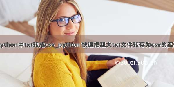 python中txt转成csv_python 快速把超大txt文件转存为csv的实例