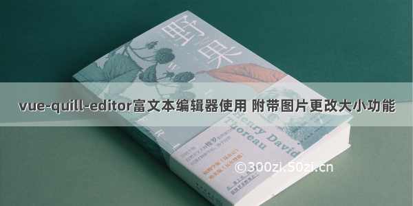 vue-quill-editor富文本编辑器使用 附带图片更改大小功能