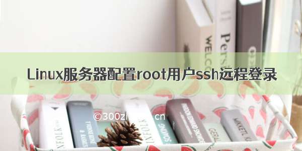 Linux服务器配置root用户ssh远程登录