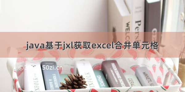 java基于jxl获取excel合并单元格