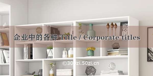 企业中的各种 Title / Corporate titles