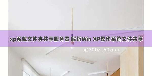 xp系统文件夹共享服务器 解析Win XP操作系统文件共享