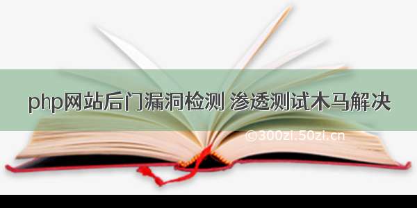 php网站后门漏洞检测 渗透测试木马解决