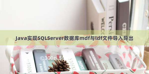 Java实现SQLServer数据库mdf与ldf文件导入导出