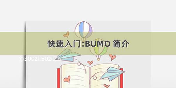 快速入门:BUMO 简介