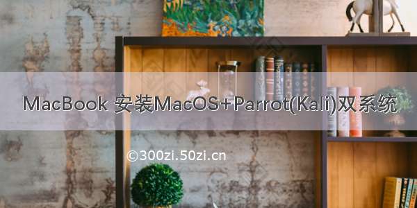 MacBook 安装MacOS+Parrot(Kali)双系统