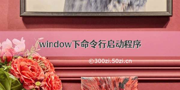 window下命令行启动程序