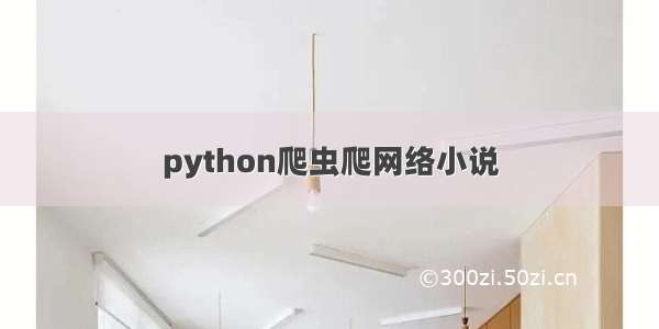 python爬虫爬网络小说