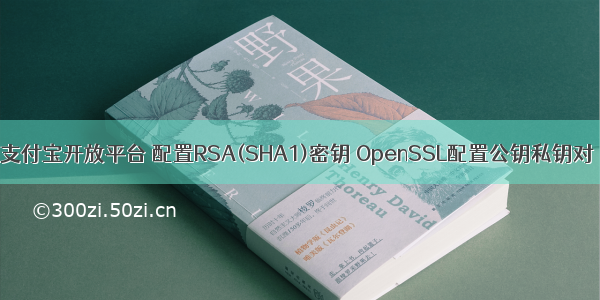 支付宝开放平台 配置RSA(SHA1)密钥 OpenSSL配置公钥私钥对