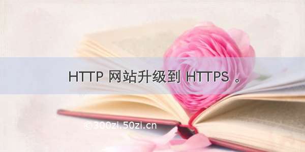 HTTP 网站升级到 HTTPS 。