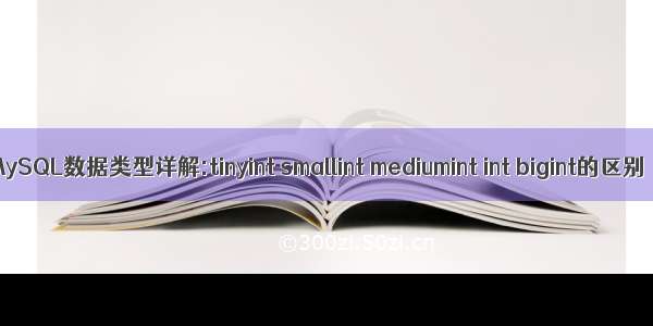 MySQL数据类型详解:tinyint smallint mediumint int bigint的区别