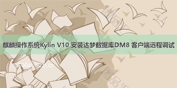 麒麟操作系统Kylin V10 安装达梦数据库DM8 客户端远程调试