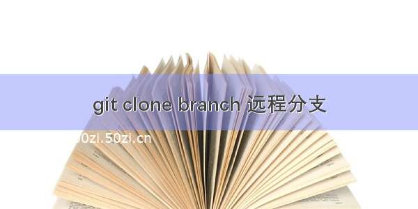 git clone branch 远程分支