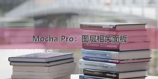 Mocha Pro：图层相关面板