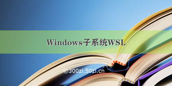 Windows子系统WSL