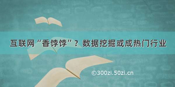 互联网“香饽饽”？数据挖掘或成热门行业