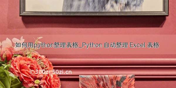 如何用python整理表格_Python 自动整理 Excel 表格