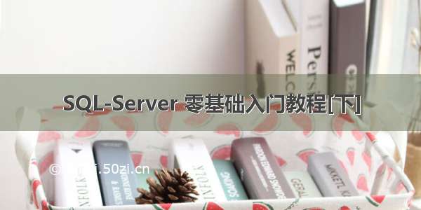 SQL-Server 零基础入门教程[下]