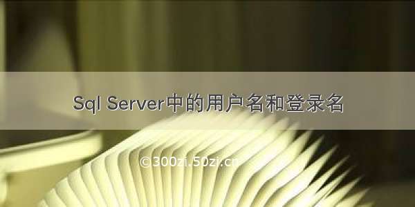 Sql Server中的用户名和登录名