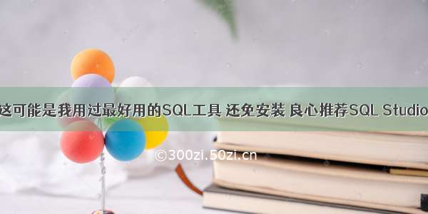 这可能是我用过最好用的SQL工具 还免安装 良心推荐SQL Studio