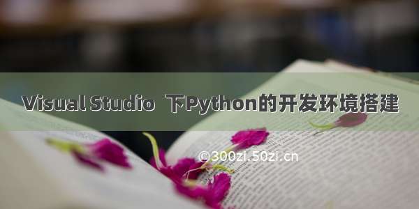 Visual Studio  下Python的开发环境搭建