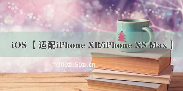 iOS 【适配iPhone XR/iPhone XS Max】