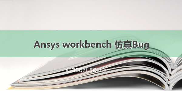 Ansys workbench 仿真Bug