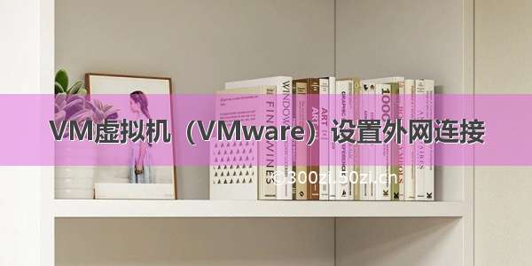 VM虚拟机（VMware）设置外网连接