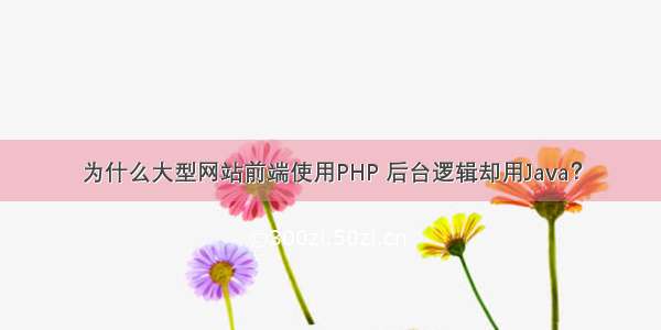 为什么大型网站前端使用PHP 后台逻辑却用Java？