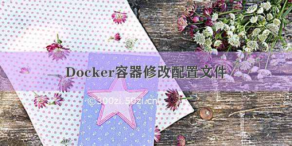 Docker容器修改配置文件