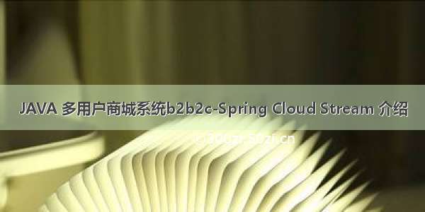 JAVA 多用户商城系统b2b2c-Spring Cloud Stream 介绍