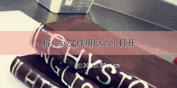 将.csv文件用Excel 打开