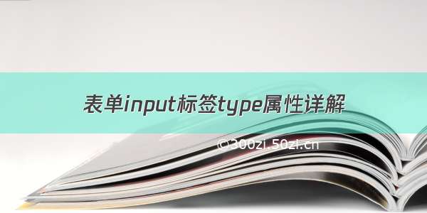 表单input标签type属性详解