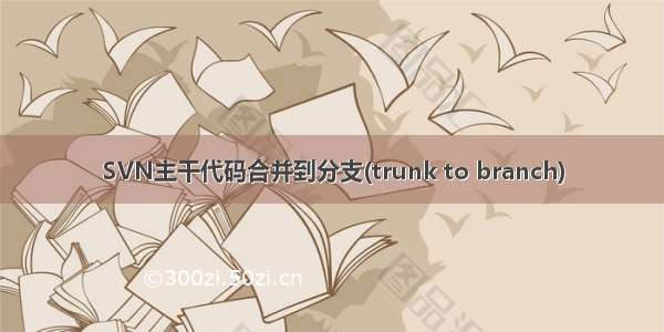 SVN主干代码合并到分支(trunk to branch)