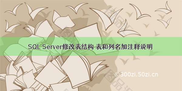 SQL Server修改表结构 表和列名加注释说明