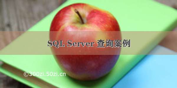 SQL Server 查询案例