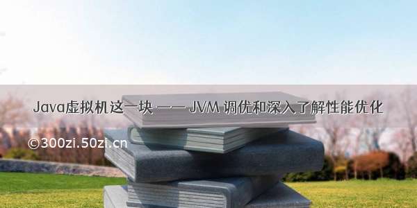 Java虚拟机这一块 —— JVM 调优和深入了解性能优化