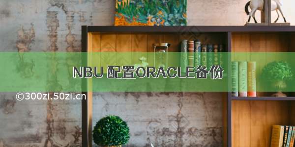 NBU 配置ORACLE备份