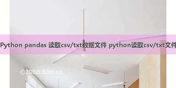 Python pandas 读取csv/txt数据文件 python读取csv/txt文件