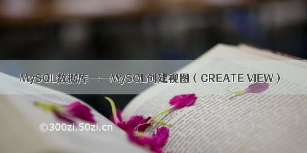 MySQL数据库——MySQL创建视图（CREATE VIEW）