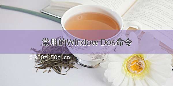 常用的Window Dos命令