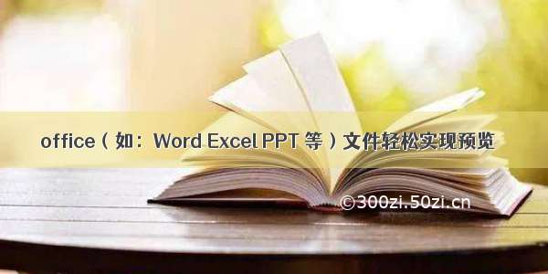 office（如：Word Excel PPT 等）文件轻松实现预览