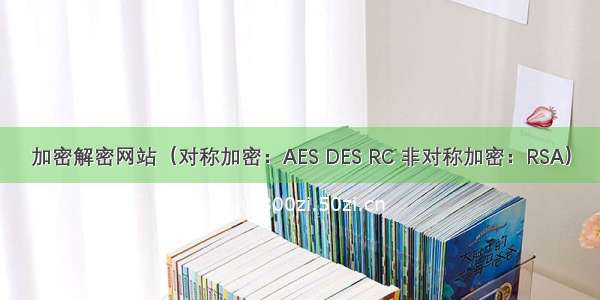 加密解密网站（对称加密：AES DES RC 非对称加密：RSA）