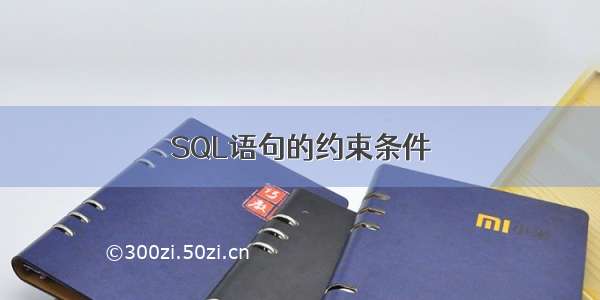 SQL语句的约束条件