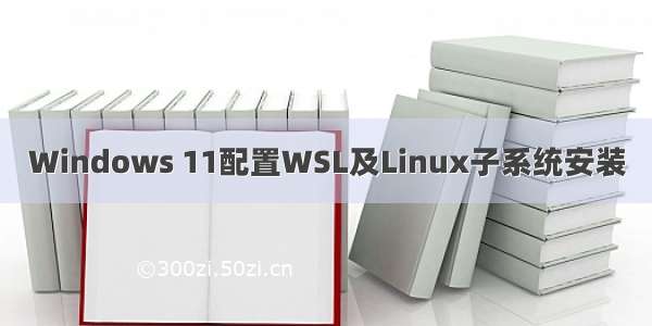 Windows 11配置WSL及Linux子系统安装
