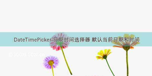 DateTimePicker 日期时间选择器 默认当前日期和时间