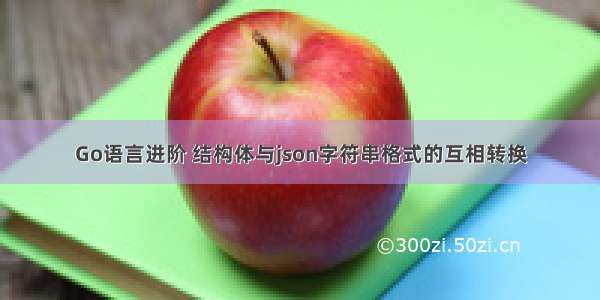 Go语言进阶 结构体与json字符串格式的互相转换