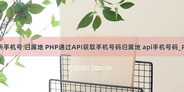 php解析手机号 归属地 PHP通过API获取手机号码归属地 api手机号码_PHP教程