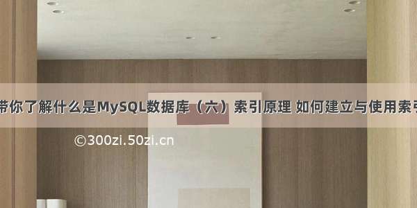 带你了解什么是MySQL数据库（六）索引原理 如何建立与使用索引