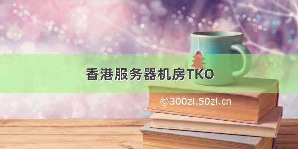 香港服务器机房TKO